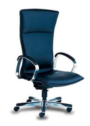 Executive Leather Chairs - Ideal Furniture